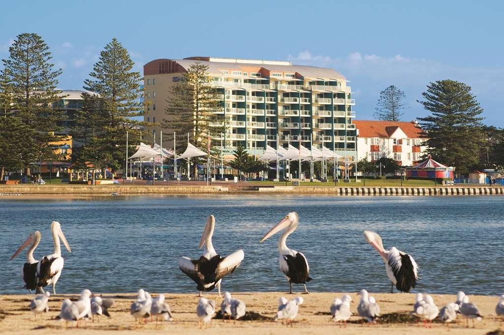 Oaks The Entrance Waterfront Suites 외부 사진